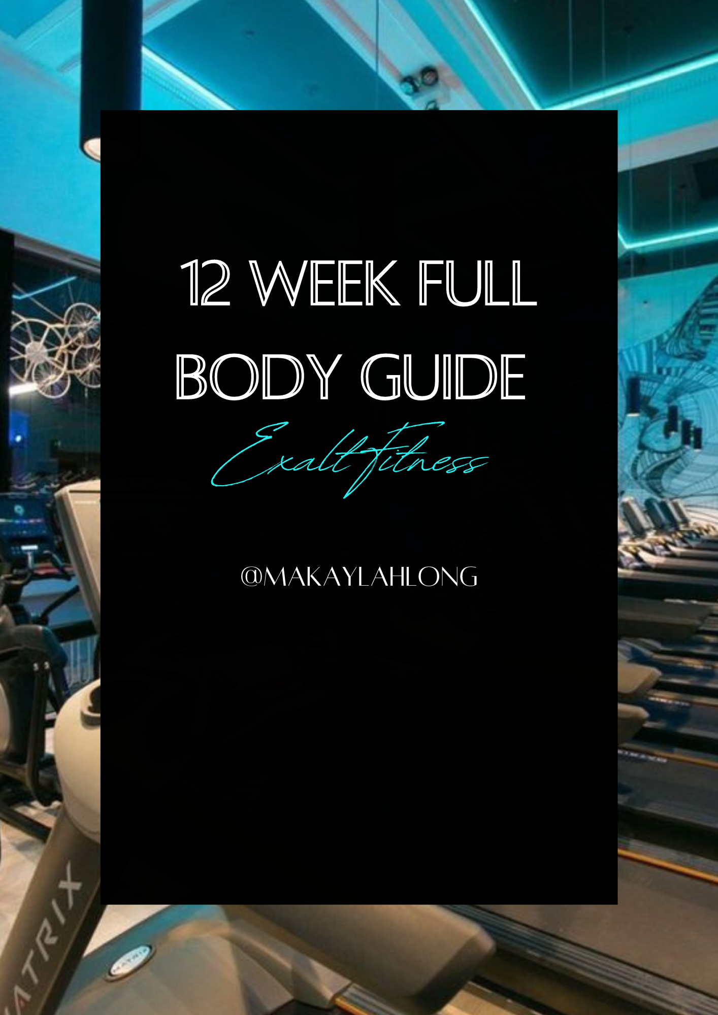 12 Week Full Body Guide